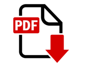 Descargar en PDF